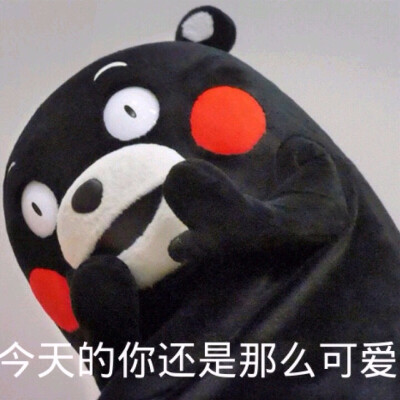 部长表情包 熊本熊 kumamon 熊本熊表情～ 今天的你还是那么可爱～