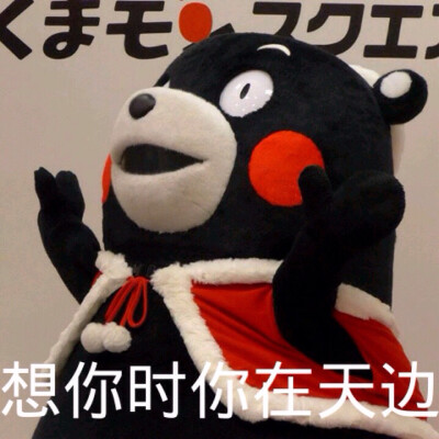 部长表情包 熊本熊 kumamon 熊本熊表情～ 想你时你在天边～( -᷅_-᷄ )