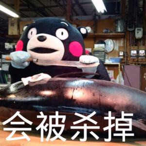 部长表情包 熊本熊 kumamon 熊本熊表情～ 如果太胖，会被杀掉～( ´◔ ‸◔')