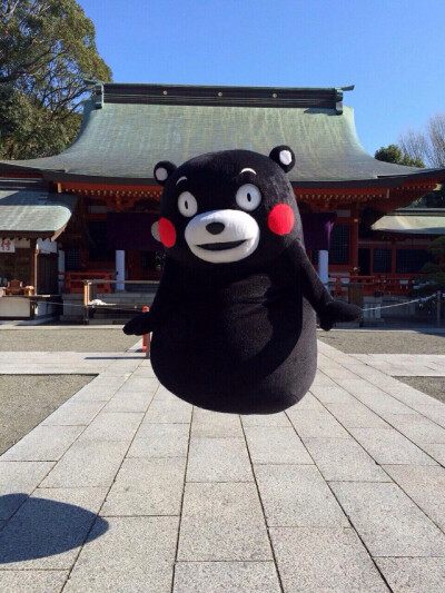 部长 熊本熊 kumamon～炒鸡萌～ 灰起来了！