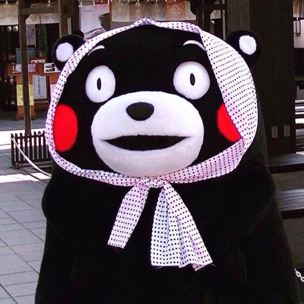 部长 熊本熊 kumamon～炒鸡萌～ 我好萌╰（￣▽￣）╭ 