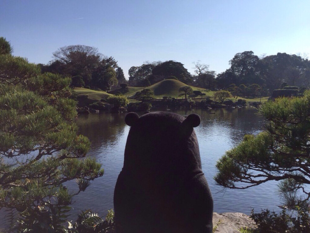 部长 熊本熊 kumamon～炒鸡萌～ 美腻的背影(/ω＼)