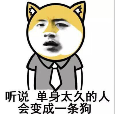 表情包