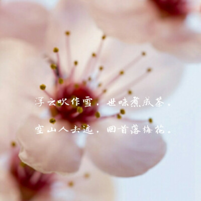 ——莲韵文集《做一朵凡花，优雅独芳华》