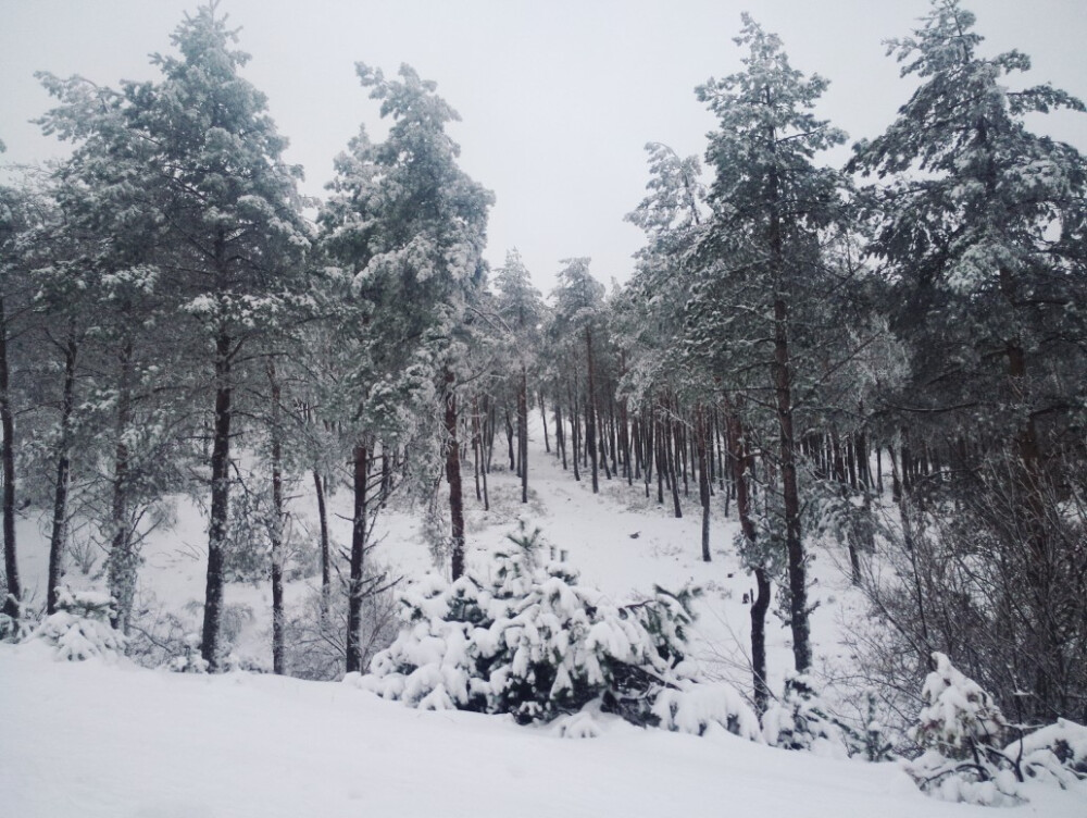 winterwonderland. 驾着车在冰天雪地里穿梭，有种在北欧过年的既视感。