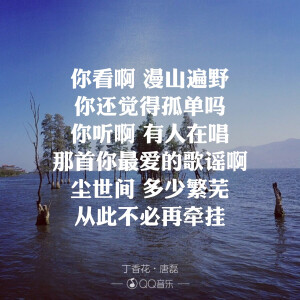 丁香花-陶磊