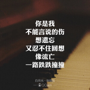 白月光-张信哲