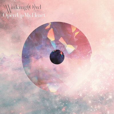 「Open Up My Heart」 Single, Maxi The Winking Owl (アーティスト) 