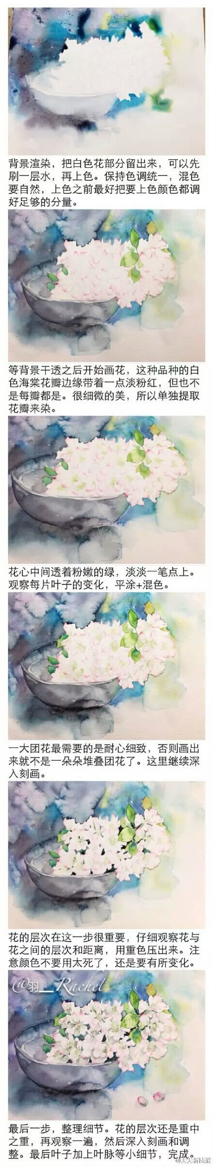 步骤详细
花卉水彩教程 分分钟学会