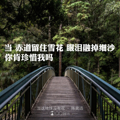 歌词 ———《当这地球没有花》