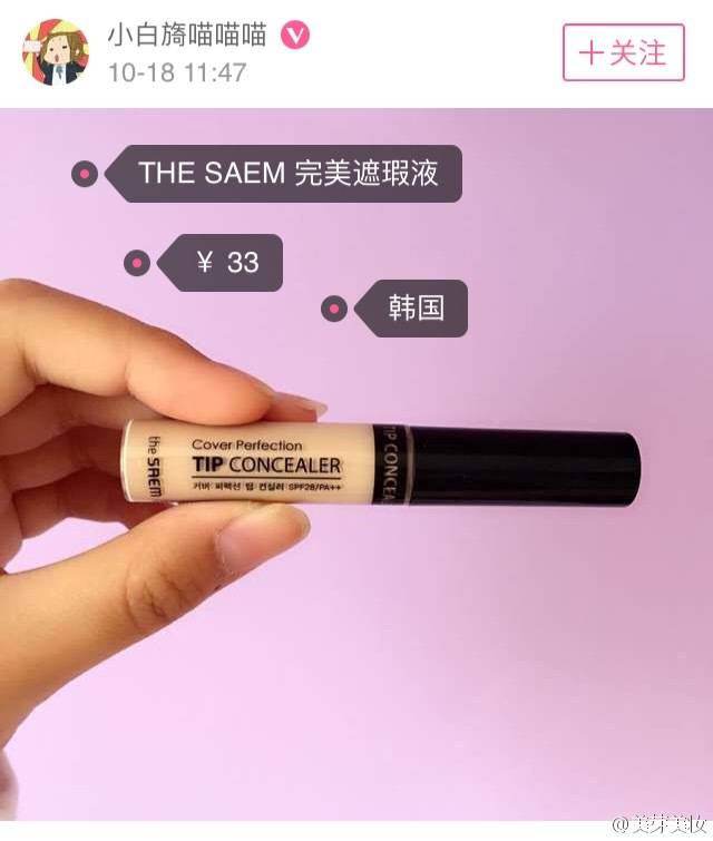 THE SAEM 完美遮暇液