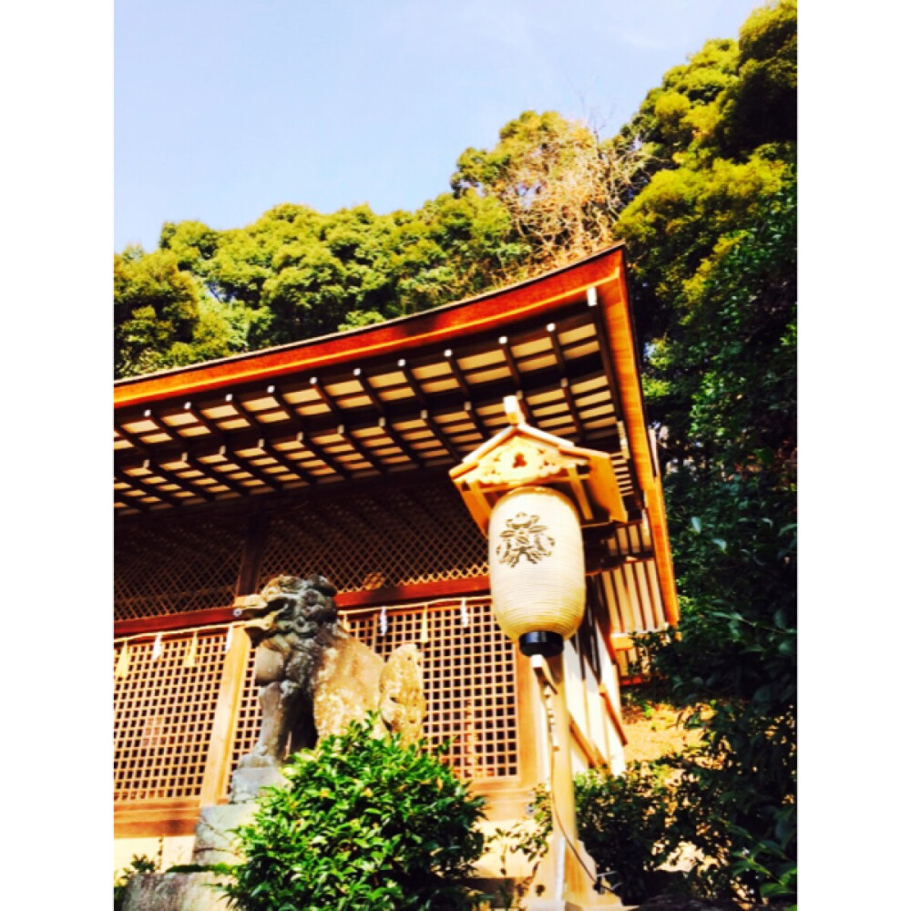 宇治上神社。