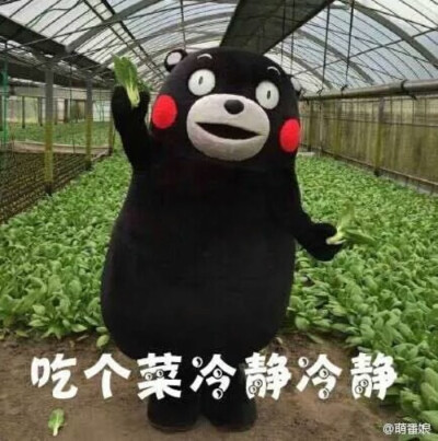 吃菜冷静冷静