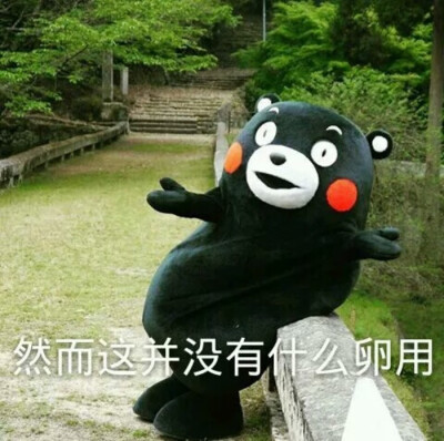 然而并没有什么卵用