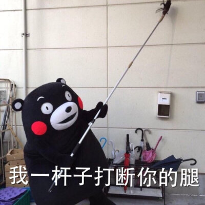 一竿子打断你的腿