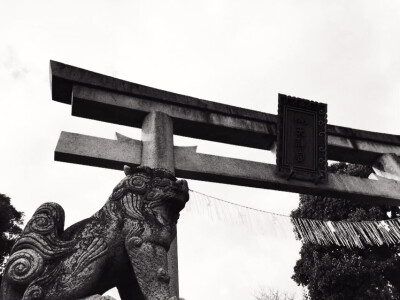 神社。鳥居。