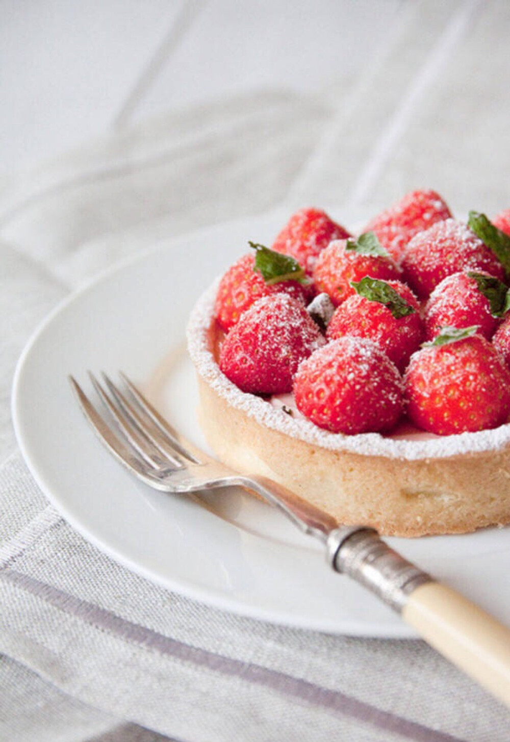 草莓蛋糕0461556103