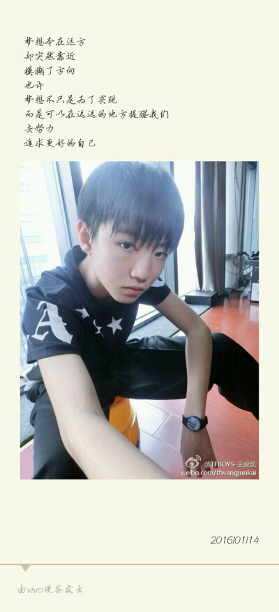 你是我的一个梦想