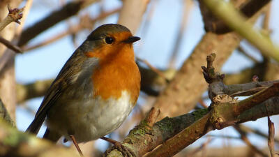 Winchester Discovery Centre
01/03/2013
很久之前的picture了，再不发就占内存了....