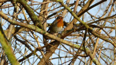 Winchester Discovery Centre
01/03/2013
很久之前的picture了，再不发就占内存了....