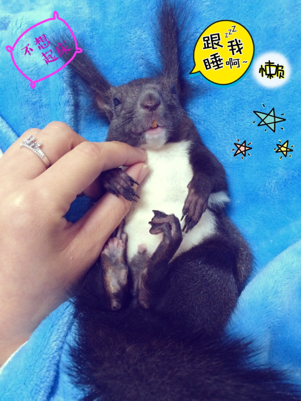 Duang一下长大啦！