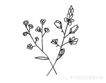 小清新花草图案纹身