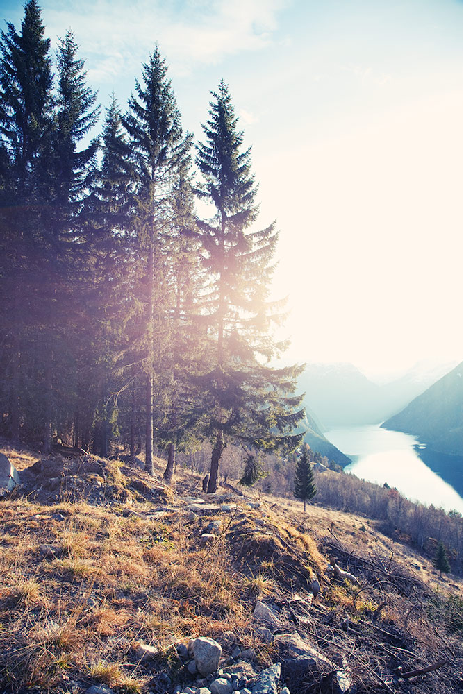 山间景色