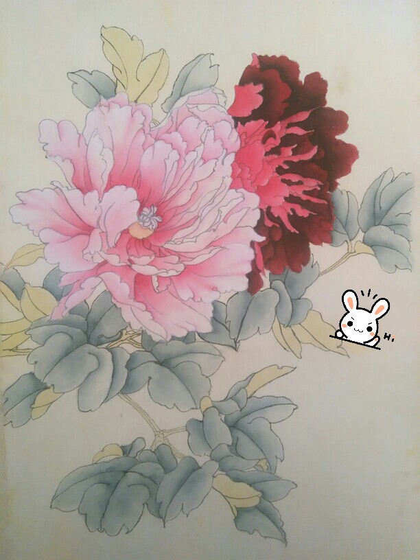 工笔画 牡丹【未暮】