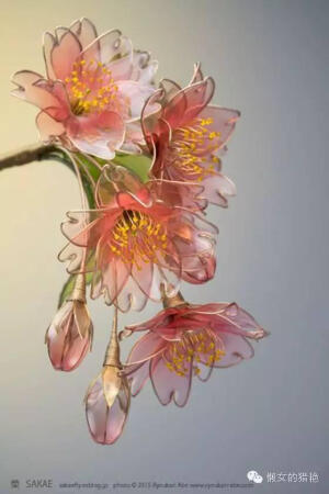 日本簪作家榮Sakae（sakaefly）, 榮Sakae 是来自日本成田市的一位艺术家，擅长手工制作各种各样精致美丽的发簪，莲花、牡丹、紫阳花、月下美人、白梅、樱花都在他的手中成就了一支支美得窒息的簪子。 

