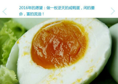 2016年的愿望：做一枚逆天的咸鸭蛋，闲得要命，富得流油