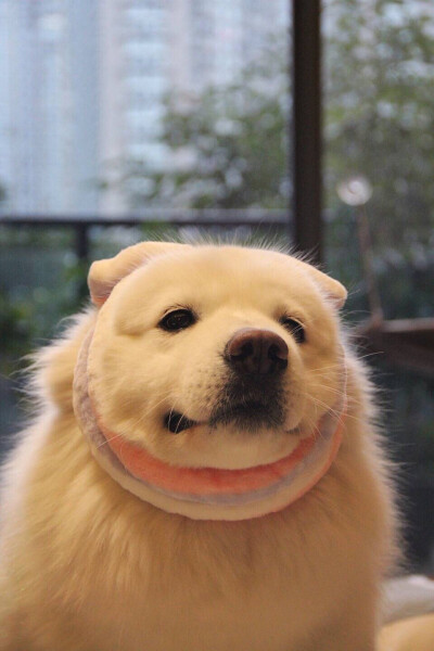 呵呵