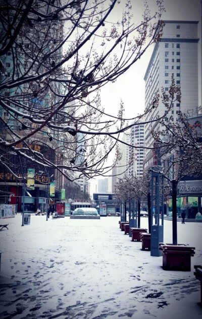 一五年冬季最大的一场雪