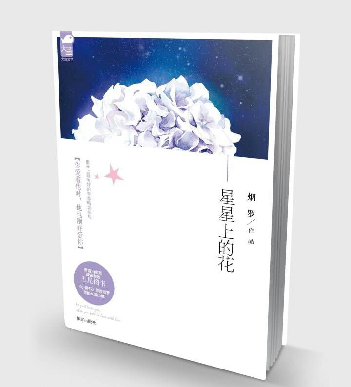 《星星上的花》作者烟罗 主角程安之和封信 这是关于一个暗恋的故事 你爱着他时，他也刚好爱着你。这大概是横跨了整段青春中，关于暗恋最好的结局吧。十六岁时的程安之一见封信误终身。从十六岁到二十四岁，她一直在努力的变优秀。只为有一天能够堂堂正正的站在封信面前。星星上的花，关于每个人都有了一个归宿，关于每一段伤痛都被治慰。