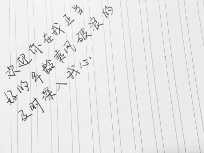 手写。美文美段。