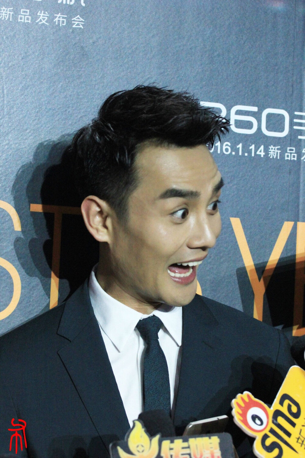 王凯靖王明诚琅琊榜伪装者他来了请闭眼