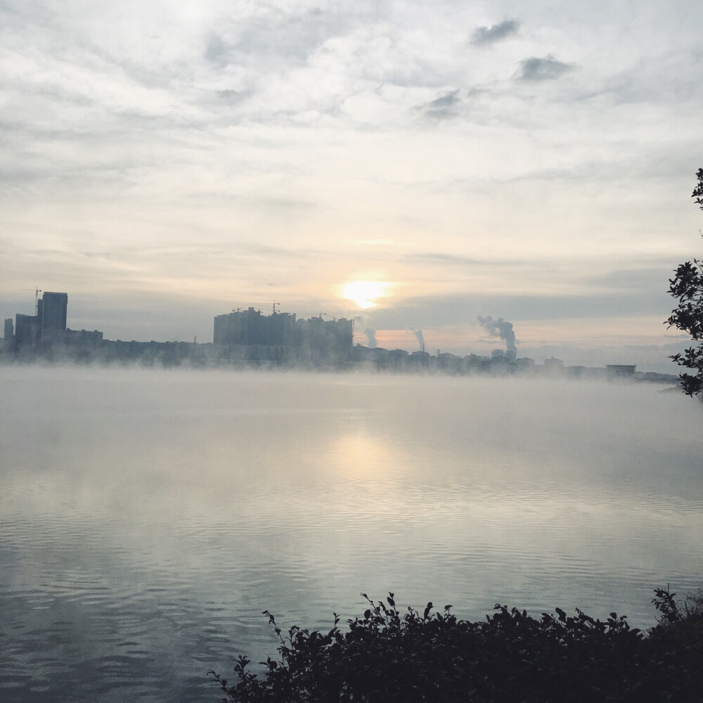 晨跑时的景色