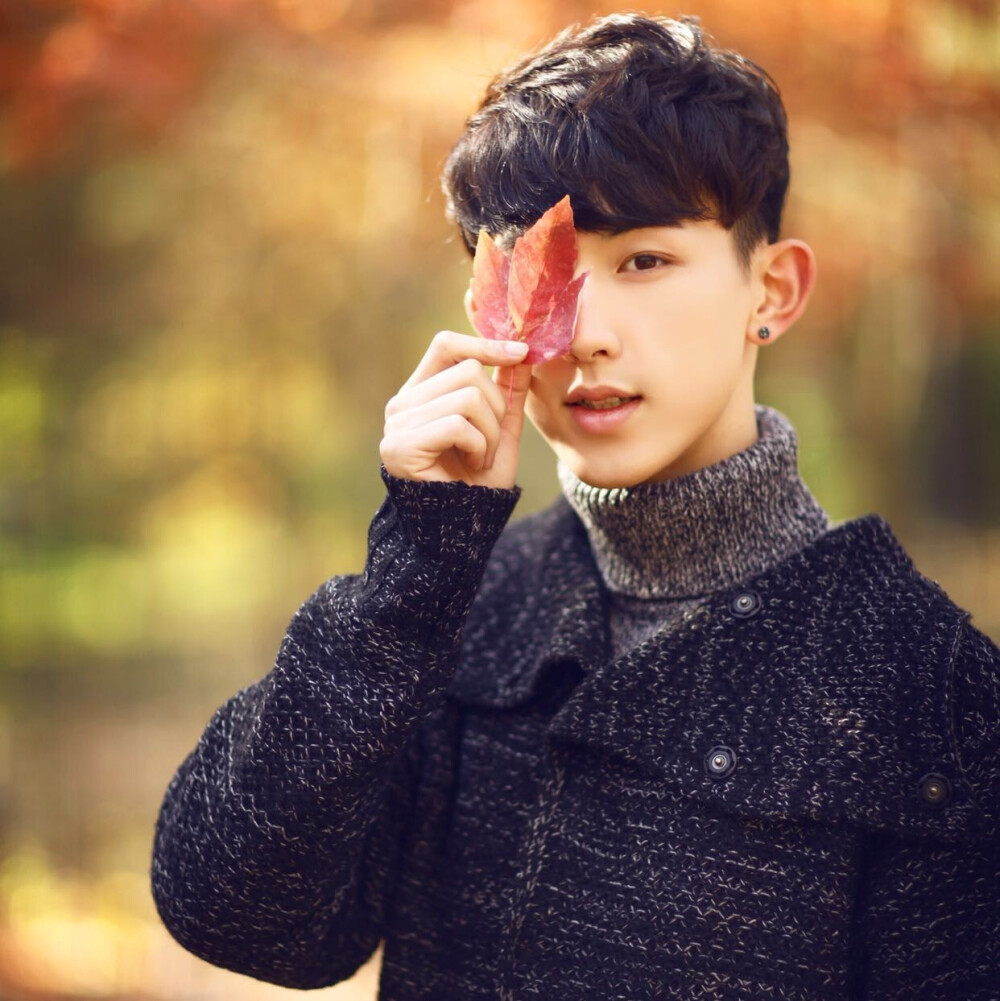 杨严太子妃升职记郭俊辰