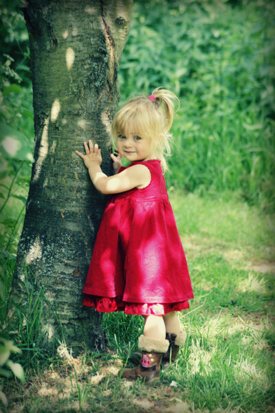 red and green
angle and tree