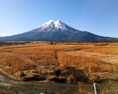 富士山下