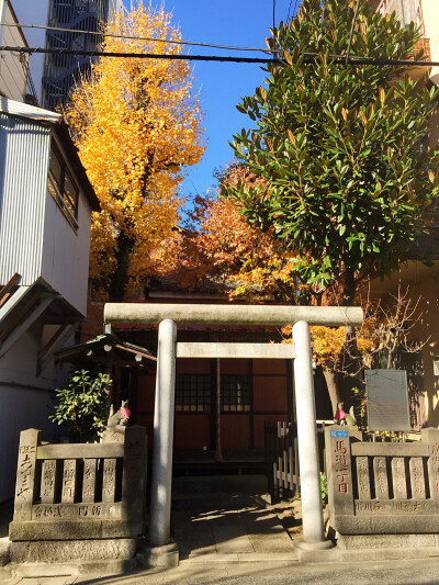 神社浅草旁