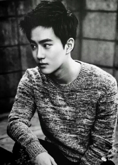 suho