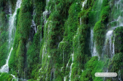 伊瓜苏瀑布位于巴西和阿根廷交界。与维多利亚瀑布和尼加拉瓜瀑布不同，伊瓜苏瀑布并不是一面长长的水幕，而是湍急的伊瓜苏河“遭遇”峡谷，而形成彼此相联的大大小小若干个瀑布。许多个别瀑布在中途被突出的岩石击破…