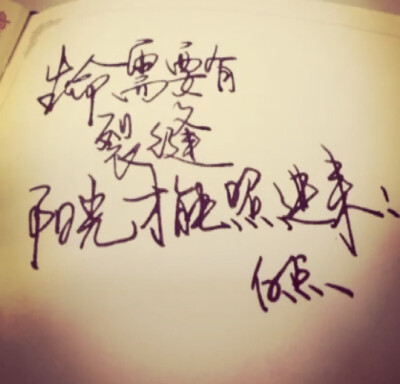 生命不能没有阳光