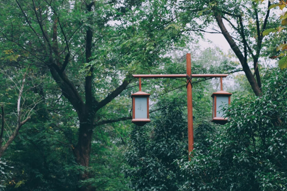 空山新雨后。