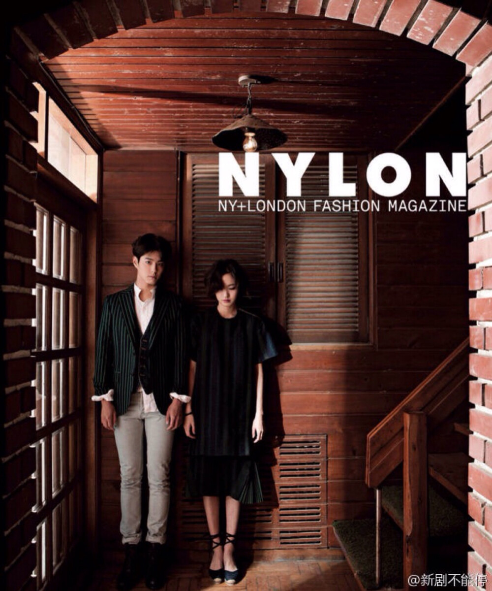 奶酪陷阱 金高银