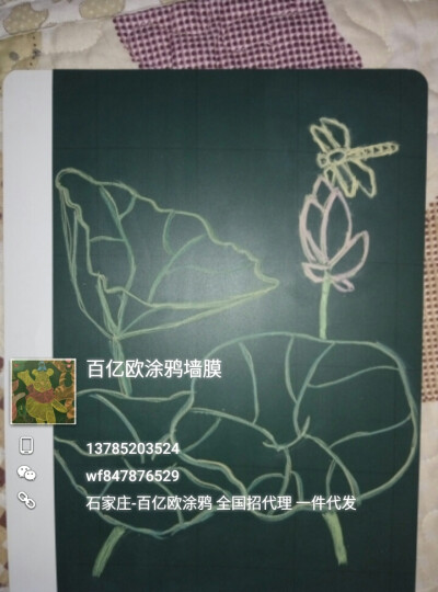 小荷才露尖尖角，早有蜻蜓立上头。