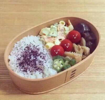 面对这样的便当会忍心下口吗