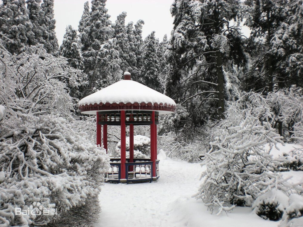 江西省九江市庐山雪景