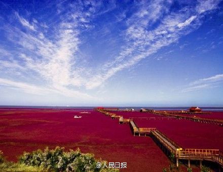 辽宁盘锦红海滩