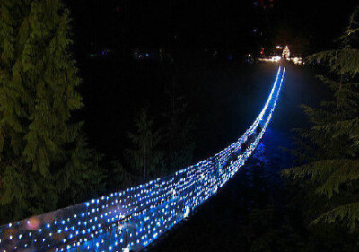 温哥华卡普兰奴吊桥